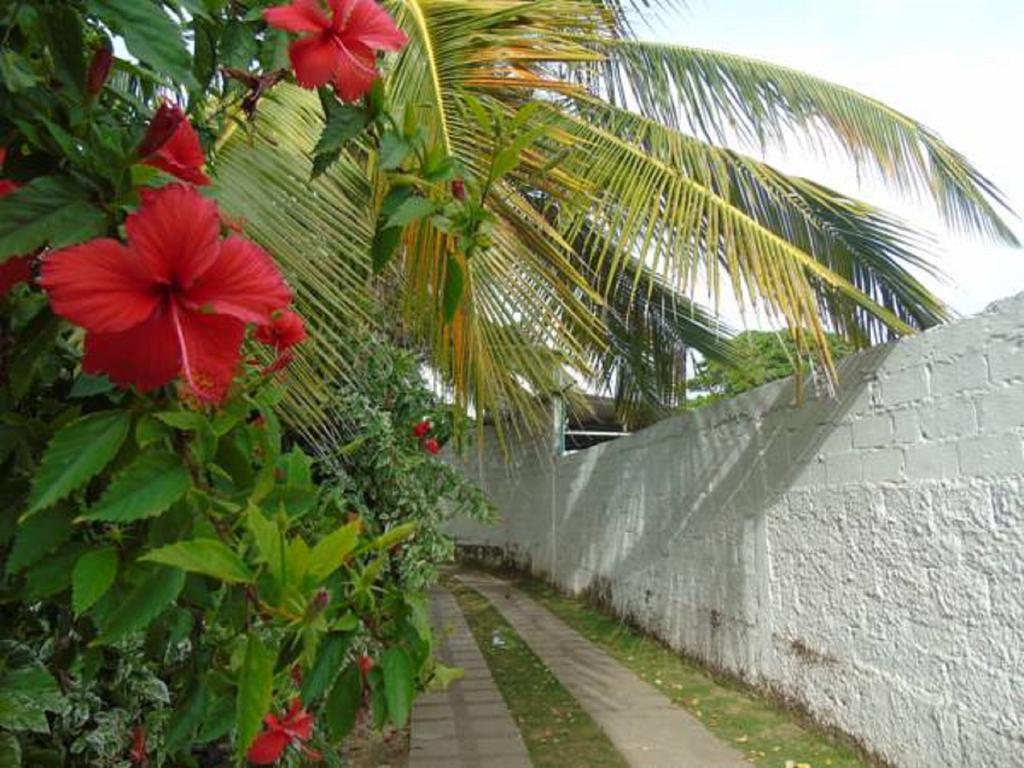 Villa San Miguel San Andrés Exterior foto
